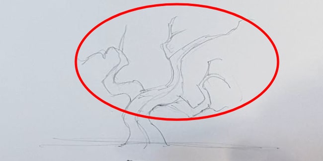 dessin d arbre